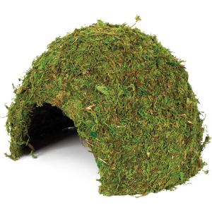 Komodo Large Natural Moss Cave for Reptiles - L