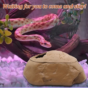 gecko hide