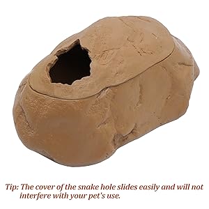 bearded dragon hide