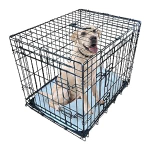 Dog Cage