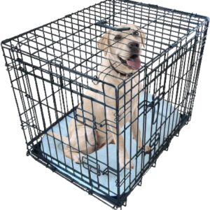 Ellie-Bo Black Deluxe Small 24-inch Folding 2-Door Dog Cage/Crate with Metal Tray and Dog Bed Mat