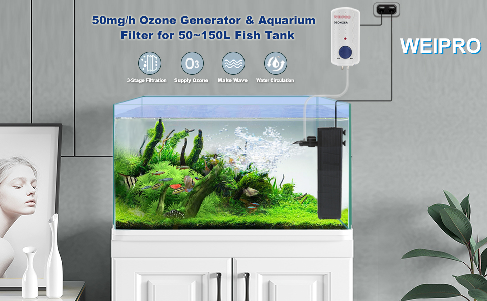 50mg/h ozone generator and aquarium filter kit