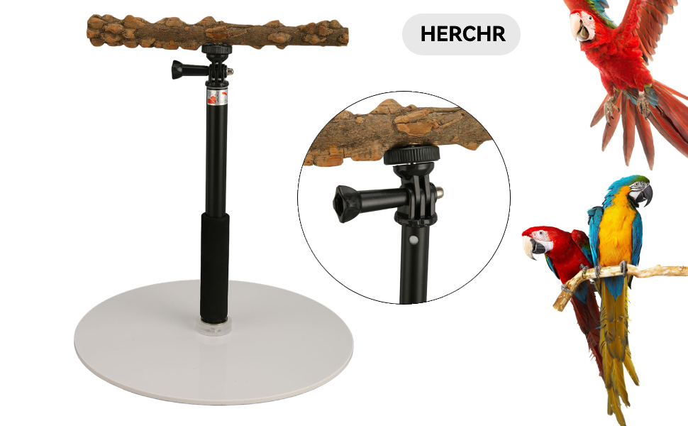 Adjustable Bird Perch