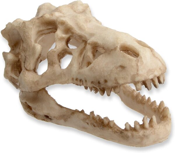 ANMOO Aquarium Ornaments, Large Dinosaur Skull Decorations Non-Toxic Vivarium Decoration Emulational Reptile Hide Aquarium Cave For Reptile and Fish