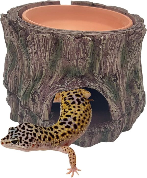 BLSCC Reptile Hide Cave - Detachable Base - Humidity Dish 3 in 1, Resin,Tank Terrarium Decor, Hide place Suitable for Small Reptiles, eg Leopard Gecko, Crested Gecko, Crabs, Snake, Lizard