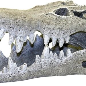 Blue Ribbon Rosewood Nile Crocodile Skull Aquarium Decor, Small, Gray