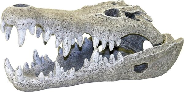 Blue Ribbon Rosewood Nile Crocodile Skull Aquarium Decor, Small, Gray