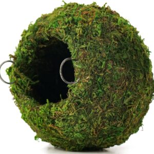 CIICRO Moss Hide Cave, Reptile Hideouts with Chain, Fake Mossy Cave for Lizards, Frogs, and Snakes Crested Gecko Reptile Tank Accessories (Medium - 6""), Green