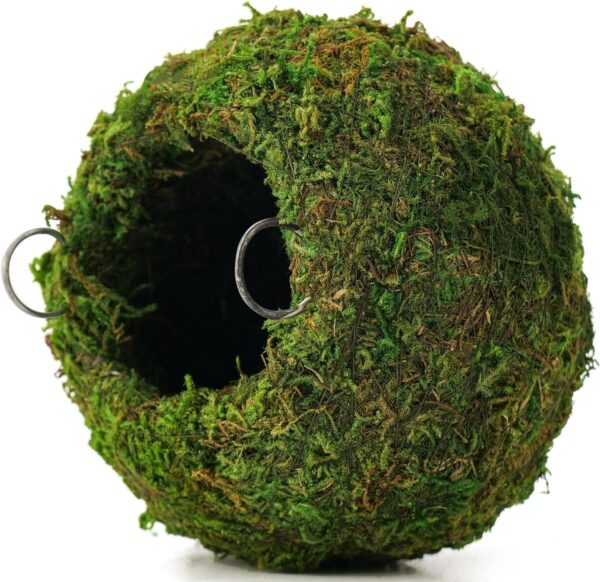 CIICRO Moss Hide Cave, Reptile Hideouts with Chain, Fake Mossy Cave for Lizards, Frogs, and Snakes Crested Gecko Reptile Tank Accessories (Medium - 6""), Green