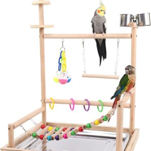 Chenxi Studio Bird Perch Playstand Ladder Swing Chew Toy For Parrots Budgies Cage Accessory Stainless Steel Feeding Cups