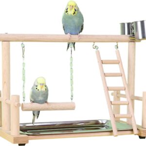 Chenxi Studio Bird Perch Stand Parrots Playstand With Stainless Steel Tray Feeding Cups Wood Ladder Swing Toy For Small Birds