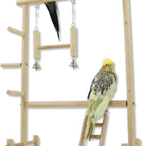 Chenxi Studio Lovebird Parrots Cage Perch Stand Bridge Large Swing Climbing Wooden Training Ladder Toy For Bird