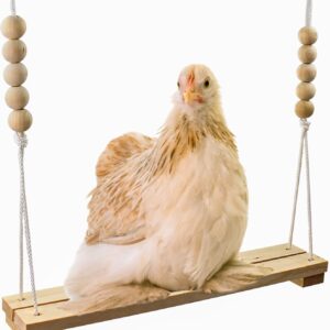 Chicken Swing Toy for Coop Handmade in USA!!! Natural Safe Wooden Accessories Large Durable Perch Ladder for Poultry Run Rooster Hens Chicks Pet Parrots Macaw Entertainment Stress Relief for Birds