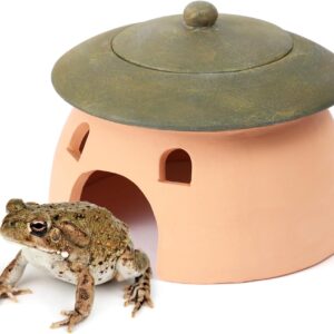 Frog and Toad House Reptile Cave Terracotta Toad with Green Lid 8 * 6 Inches Reptile Hiding Place Frog Toad House for Outside Garden Aquarium Hide for Toad Frog Turtle Lizard