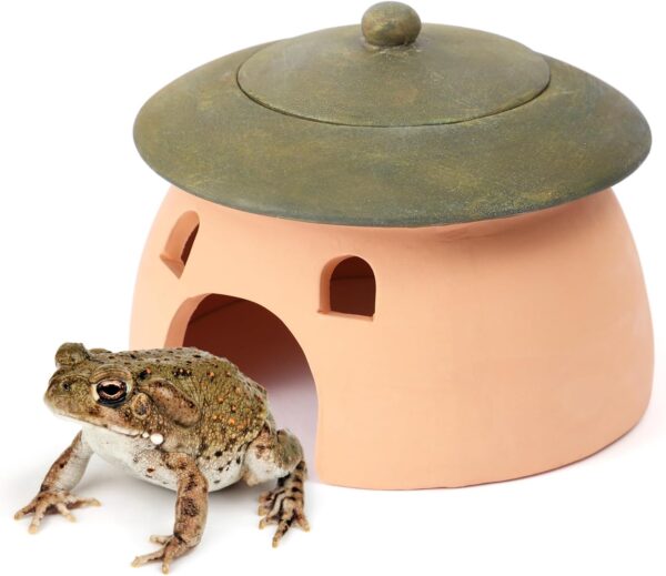 Frog and Toad House Reptile Cave Terracotta Toad with Green Lid 8 * 6 Inches Reptile Hiding Place Frog Toad House for Outside Garden Aquarium Hide for Toad Frog Turtle Lizard