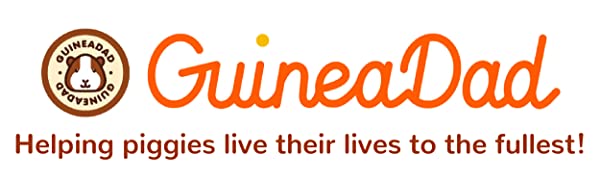 GuineaDad banner logo