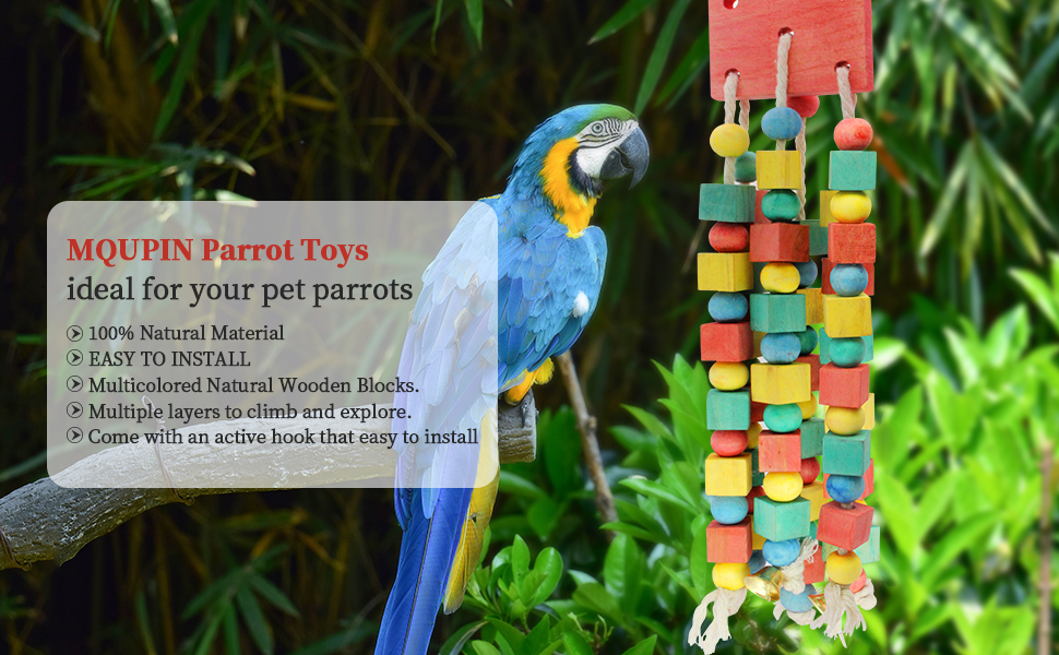 parrot toys