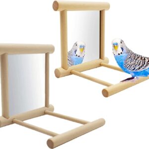 NINGVIHE Bird Mirror,Bird Swing,Parrot Cage Toys,Bird Toy for Parrot Parakeets Conures Cockatiels Cage Swing Wooden Fun Play Toy for Birds (2 PACK)