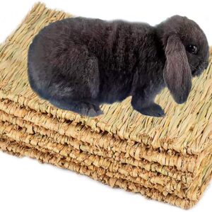 PINVNBY Natural Grass Woven Mat Small Animal Bedding Nest Guinea Pig Chew Toy For Parrot Rabbit Bunny Hamster Rat 6 PCS