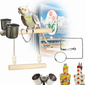 Suction Cup Swing Perch for Birds, Ideal for Window Perch Stand, Car Travel and Bird Bathing, 5-Piece Beginner Set (ZX-PS-Swing)