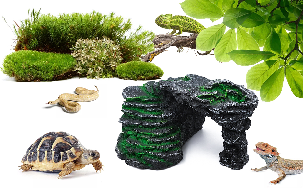 reptile tank accessories